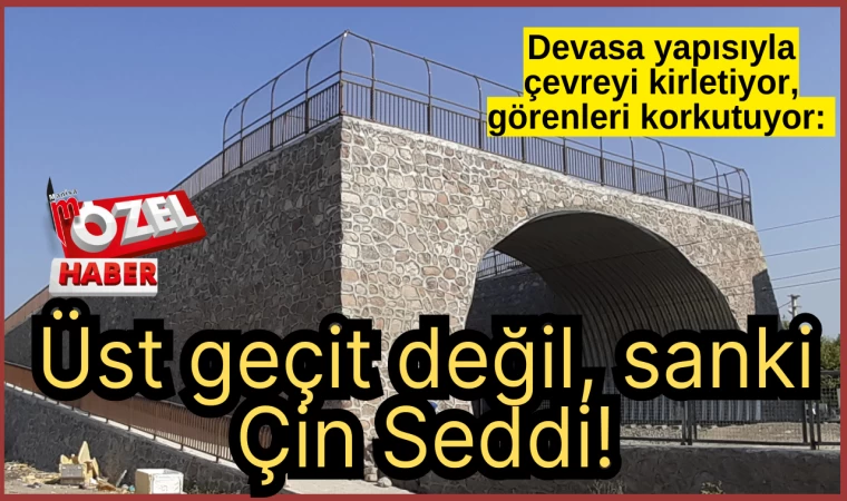 Devasa yapısıyla çevreyi kirletiyor, görenleri korkutuyor: Üst geçit değil, sanki Çin Seddi!