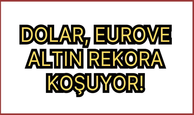 DOLAR, EURO VE ALTIN REKORA KOŞUYOR!