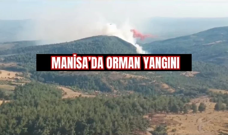 Manisa’da orman yangını