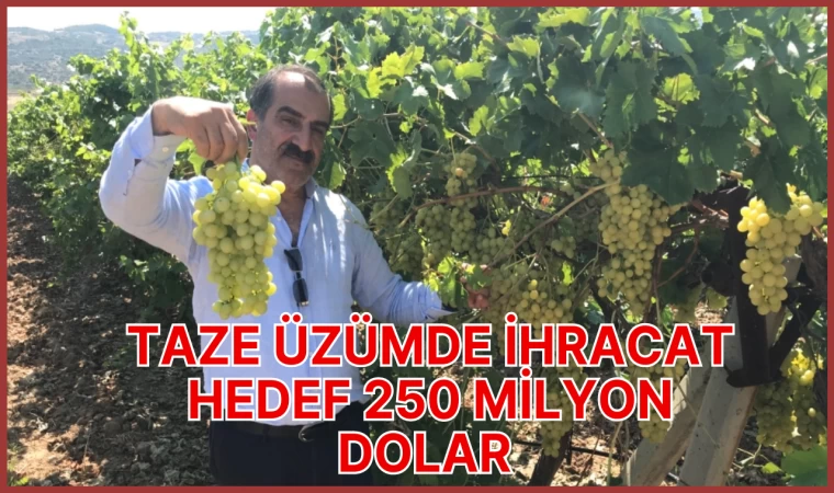 TAZE ÜZÜMDE İHRACAT HEDEF 250 MİLYON DOLAR 