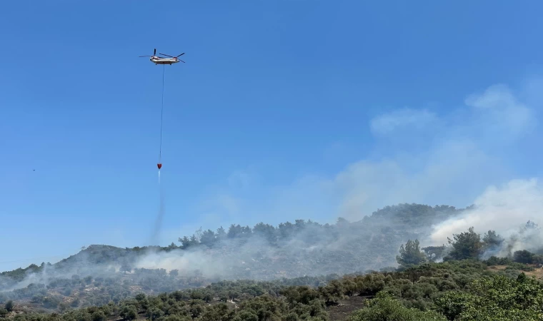 Tire' de çıkan yangına havadan ve karadan müdahale