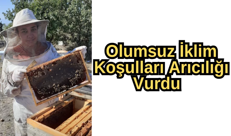 Olumsuz İklim Koşulları Arıcılığı Vurdu 