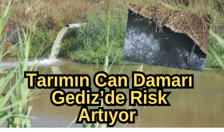 Tarımın Can Damarı Gediz’de Risk Artıyor 