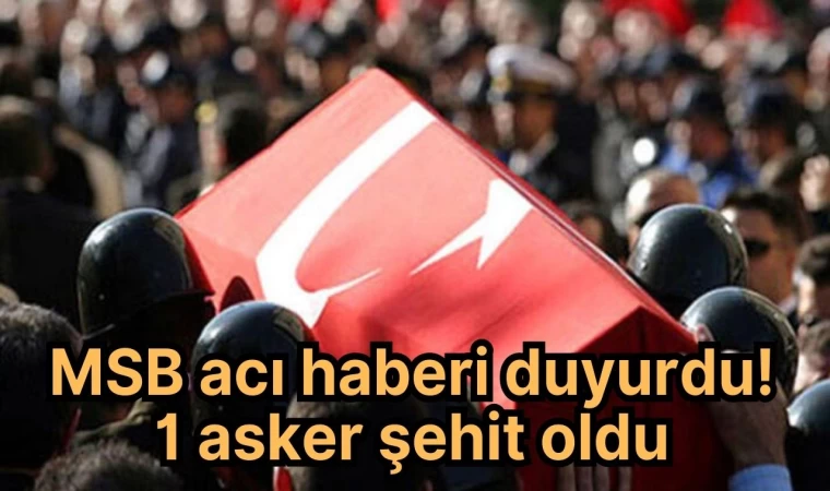 MSB acı haberi duyurdu! 1 asker şehit oldu