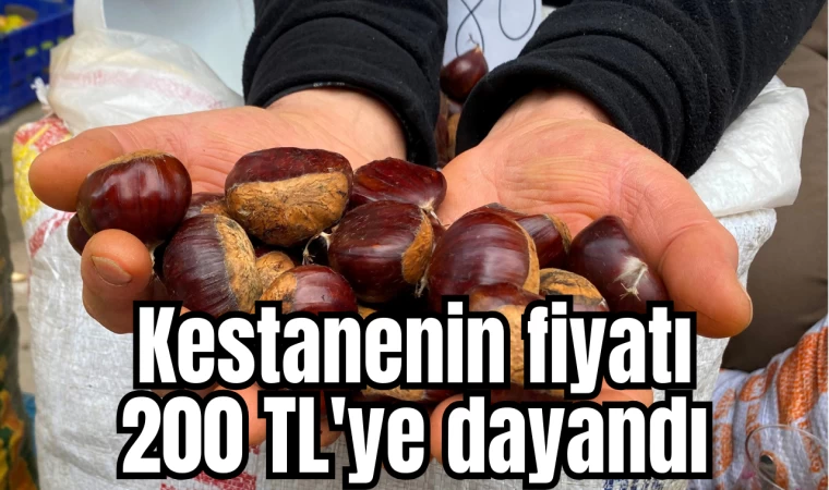 Kestanenin fiyatı 200 TL'ye dayandı