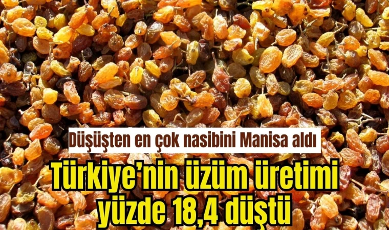 Düşüşten en çok nasibini Manisa aldı 