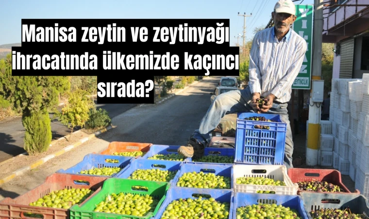 Manisa zeytin ve zeytinyağı ihracatında ülkemizde kaçıncı sırada?