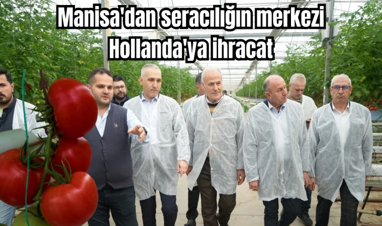 Manisa'dan seracılığın merkezi Hollanda'ya ihracat