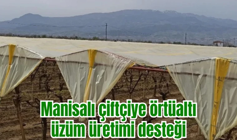 Manisalı çiftçiye örtüaltı üzüm üretimi desteği