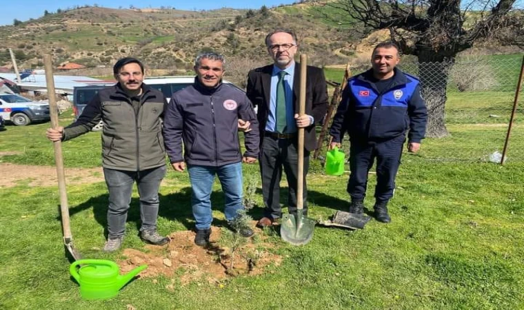 Sarıgöllüler el ele verdi 400 adet fıstık çamı fidanını toprakla buluşturdu