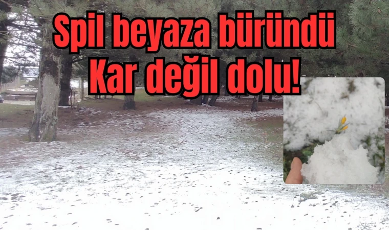 Spil beyaza büründü