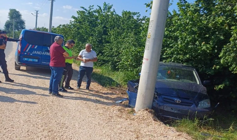 Direksiyon hakimiyetini kaybedip direğe çarptı