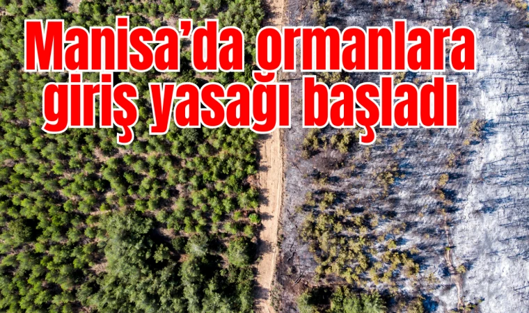 Manisa’da ormanlara giriş yasağı başladı