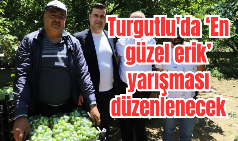 Turgutlu'da ‘En güzel erik’ yarışması düzenlenecek