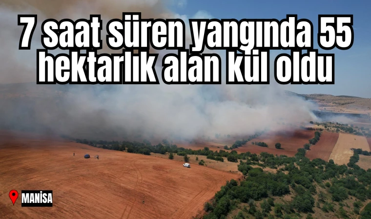 7 saat süren yangında 55 hektarlık alan kül oldu