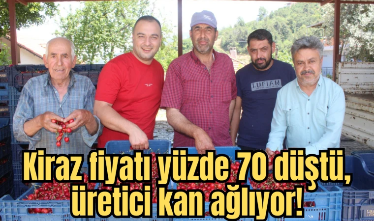 Kiraz fiyatı yüzde 70 düştü, üretici kan ağlıyor!