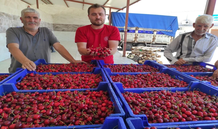 Kiraz üreticileri umduğunu bulamadı