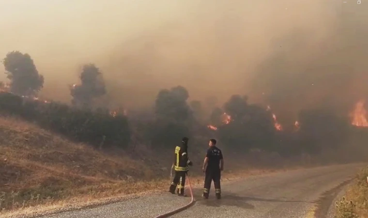 Korkutan orman yangını