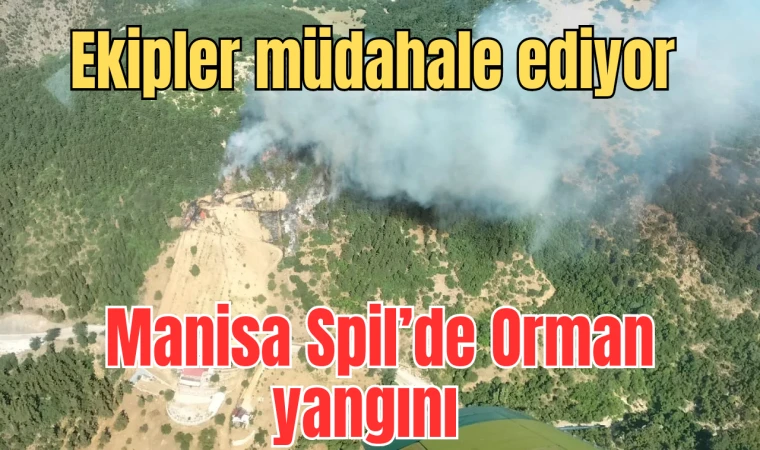 Manisa Spil Dağı yanıyor