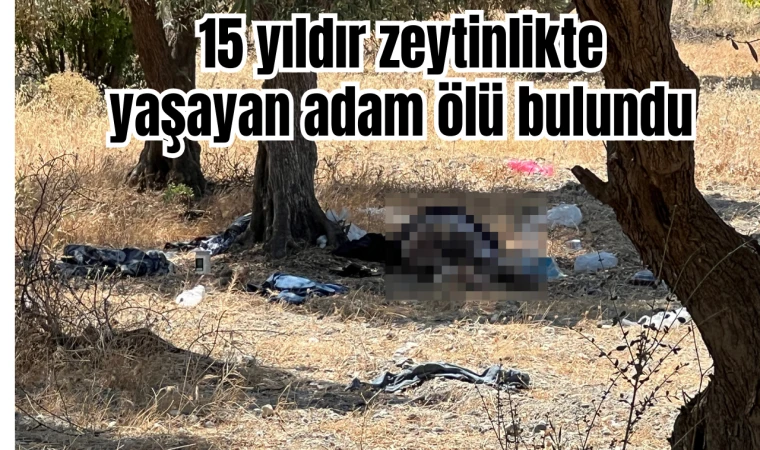 15 yıldır zeytinlikte yaşayan adam ölü bulundu