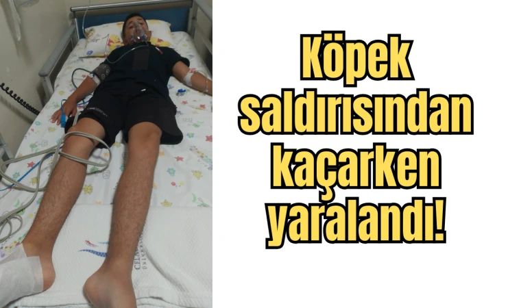 Köpek saldırısından kaçarken yaralandı!