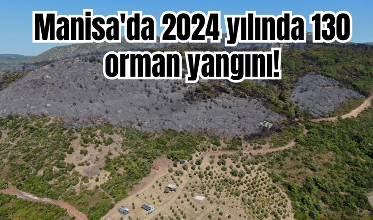 Manisa'da 130 orman yangını!