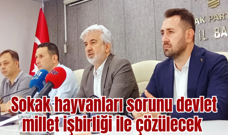 Sokak hayvanları sorunu devlet millet işbirliği ile çözülecek 