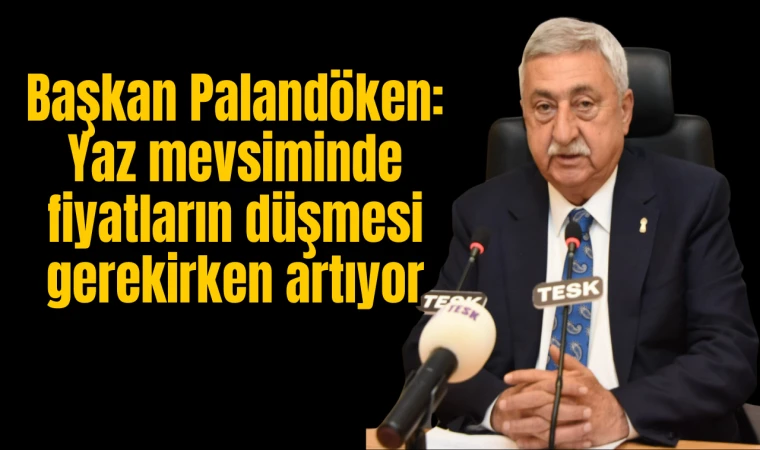 Başkan Palandöken: Yaz mevsiminde fiyatların düşmesi gerekirken artıyor