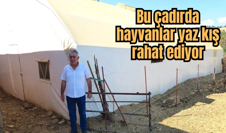 Bu çadırda hayvanlar yaz kış rahat ediyor