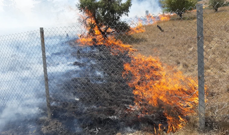 Çıkan yangında 4 tarla, 1 mezarlık küle döndü