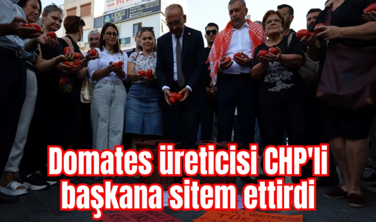 Domates üreticisi CHP'li başkana sitem ettirdi