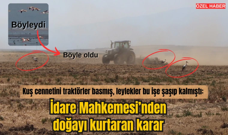 İdare Mahkemesi’nden doğayı kurtaran karar