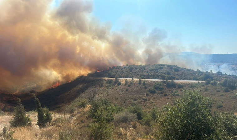 İzmir Urla'da korkutan yangın