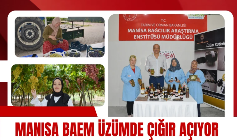 Manisa BAEM üzümün katma değerini artırıyor 