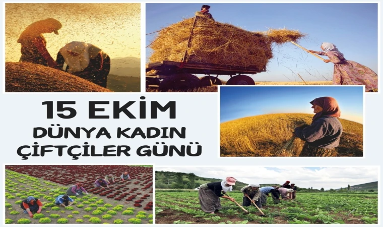 KADIN ÇİFTÇİLERİMİZİN EMEĞİNE SAĞLIK