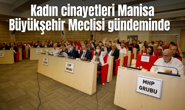 Kadın cinayetleri Manisa Büyükşehir Meclisi gündeminde 