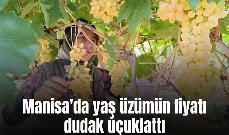 Manisa'da yaş üzümün fiyatı dudak uçuklattı