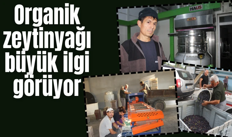 Organik zeytinyağı büyük ilgi görüyor