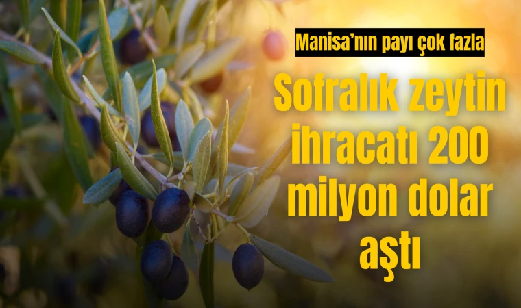 Sofralık zeytin ihracatı 200 milyon dolar aştı