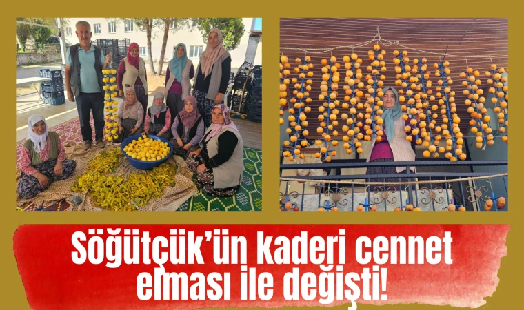 Söğütçük’ün kaderi cennet elması ile değişti!