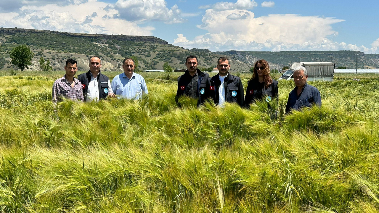 Büyükşehirin dağıttığı arpa ve buğday çiftçinin yüzünü güldürdü