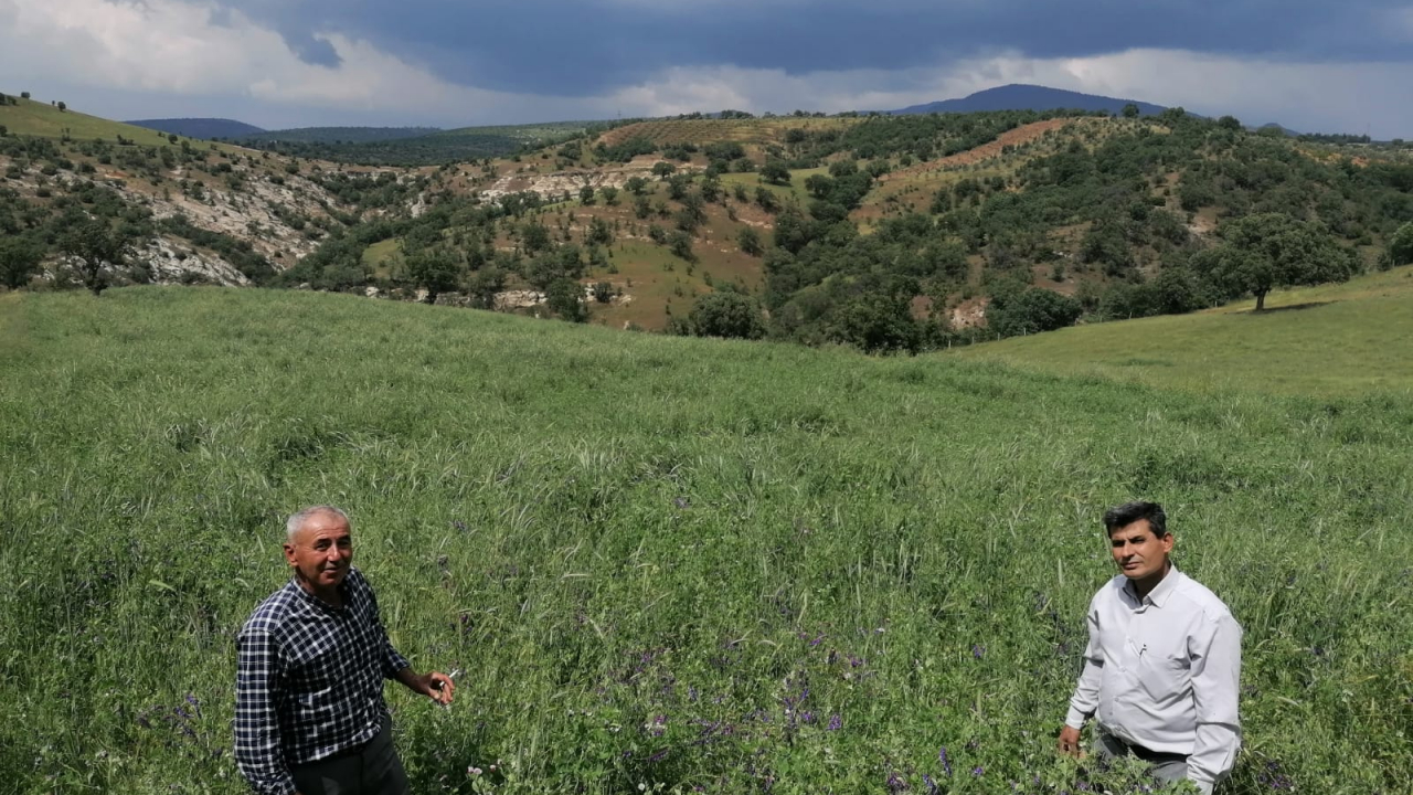 ‘Kendi Yemini Kendin Üret’ Projesi Çiftçilerin Verimini Yükseltti