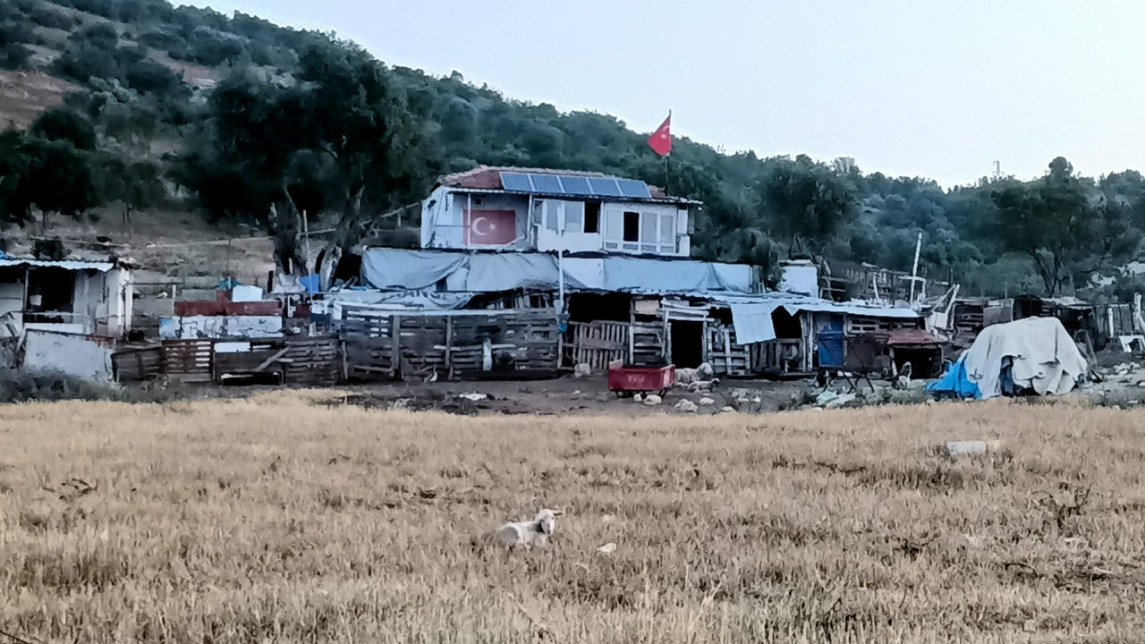 Çiftlik evinde korkunç cinayet