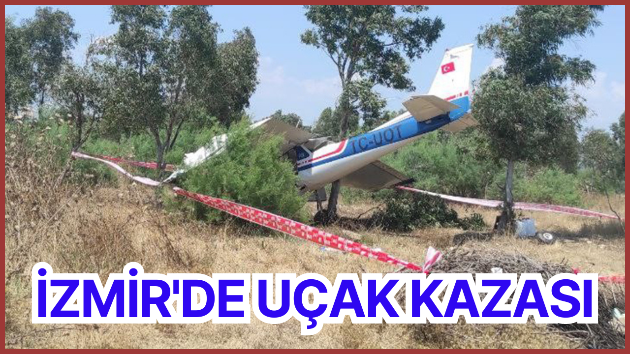 İzmir Selçuk'ta özel bir uçak araziye düştü: 2 yaralı