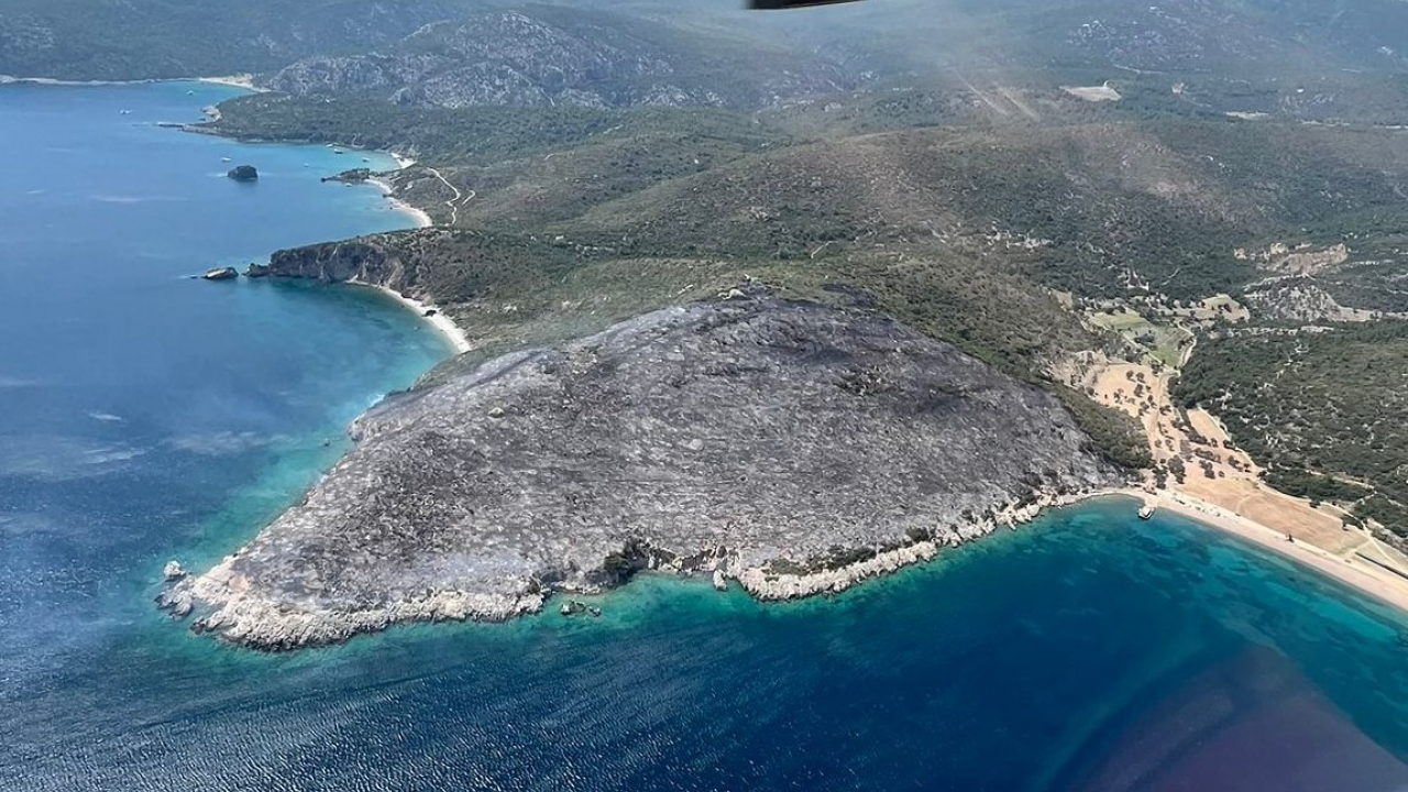 Mangaldan çıktığı öne sürülen yangında 2 şüpheli gözaltında