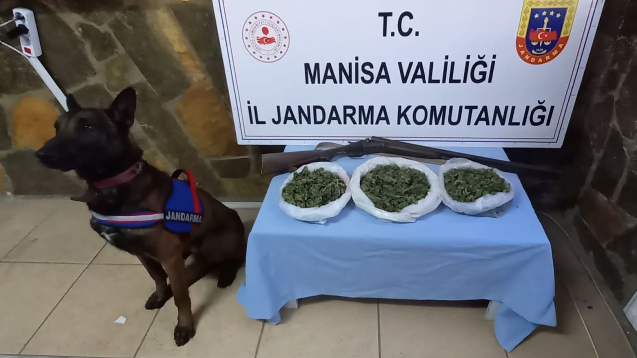 Manisa Jandarması uyuşturucu tacirlerine göz açtırmıyor