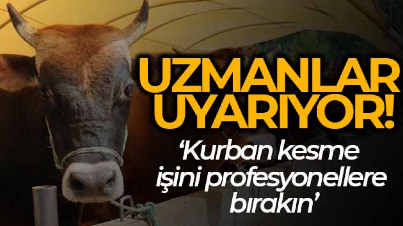 Uzmanlar uyarıyor: 'Kurban kesme işini profesyonellere bırakın'