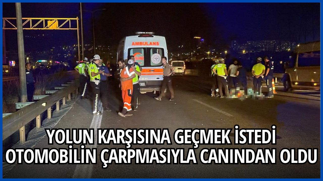 YOLUN KARŞISINA GEÇMEK İSTEDİ OTOMOBİLİN ÇARPMASIYLA CANINDAN OLDU