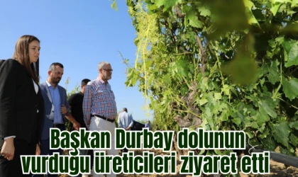 Başkan Durbay dolunun vurduğu üreticileri ziyaret etti 