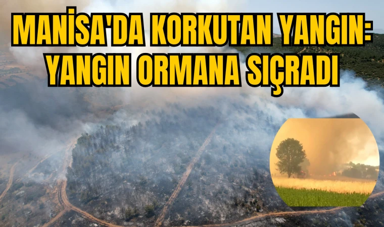 Manisa'da korkutan yangın: Biçerdöver kaynaklı yangın ormana sıçradı